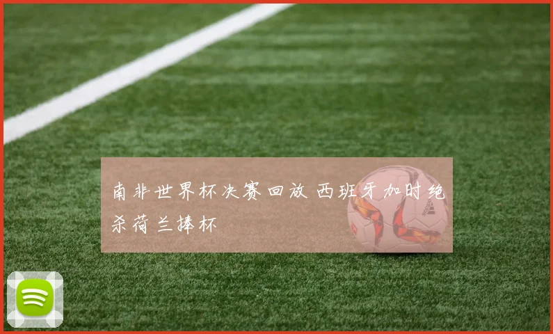 南非世界杯决赛回放 西班牙加时绝杀荷兰捧杯