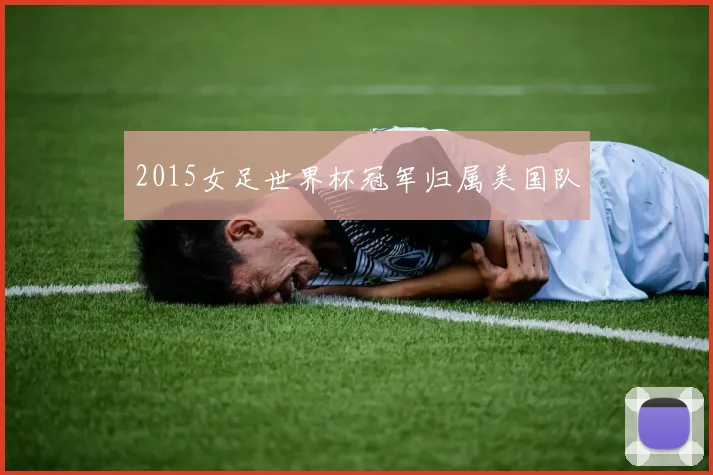 2015女足世界杯冠军归属美国队