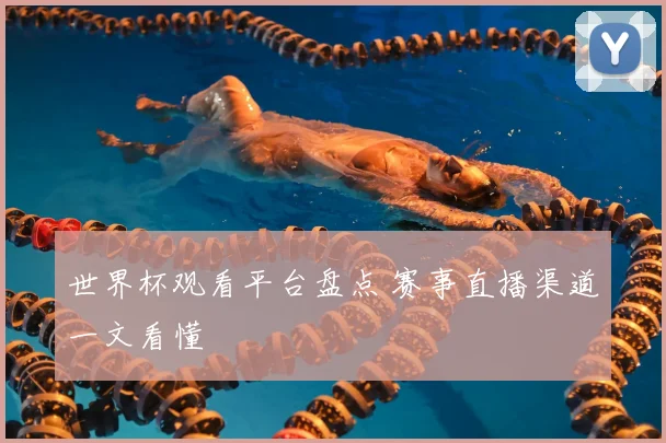 世界杯观看平台盘点 赛事直播渠道一文看懂