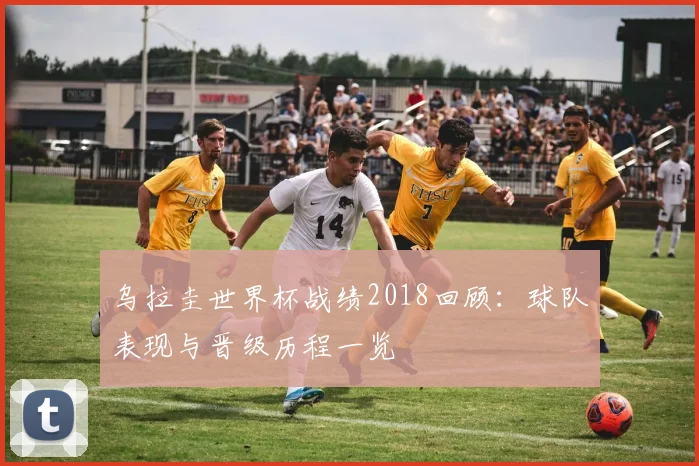 乌拉圭世界杯战绩2018回顾：球队表现与晋级历程一览