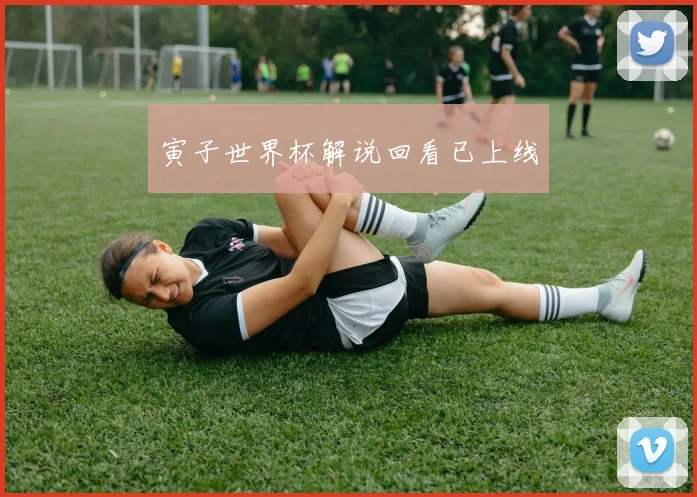 寅子世界杯解说回看已上线
